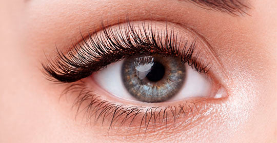 EL SECRETO DE UNA APLICACIÓN CORRECTA